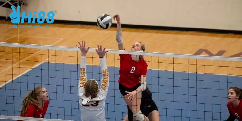 meo ca cuoc bong chuyen